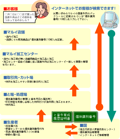 識別 番号 検索 個体