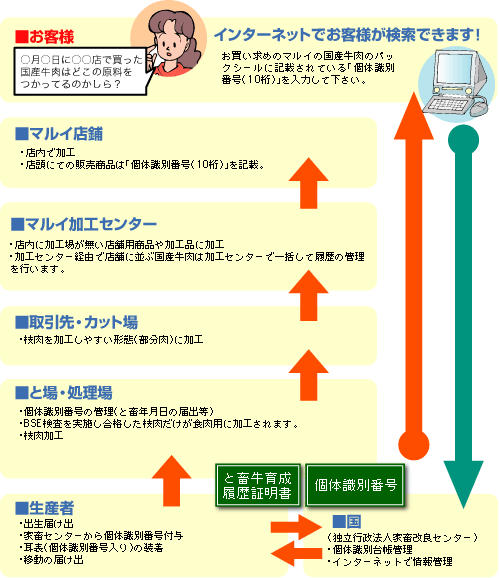 検索 番号 個体 識別